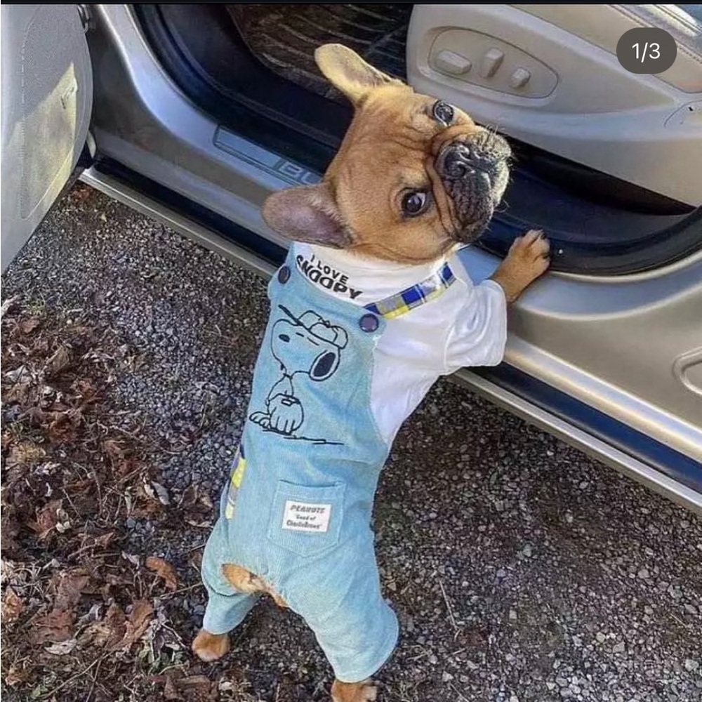 Snoopy overalls